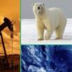 Climate Change Explained: Causes, Consequences and Solutions