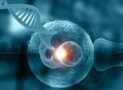 Clinical Embryology Techniques