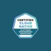 CNPA: Cloud Native Platform Engineering Associate Prep Exams