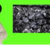 Coal and Petroleum Class 8 Science NCERT and Imp. Questions