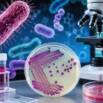 Complete Bacteriology Course