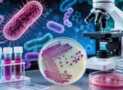 Complete Bacteriology Course