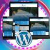 Complete Basics of WordPress Web Design and Web Development