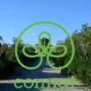 Connection to Nature and Self