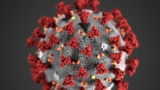 Coronavirus 101: Six Things We Can Do Spiritually