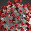 Coronavirus 101: Six Things We Can Do Spiritually
