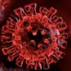 COVID-19 and the Anxiety Pandemic: Covidian Worry