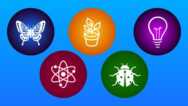 Create an Awesome Science Fair Project (For Kids)