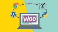 Create E-commerce Site Locally To Practice Qa Automation