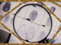 Criminology and Criminal Psychology | Certified CSI+ Course