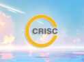 CRISC Certification Prep Course: 6 Practice Exams