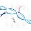 CRISPR Cas9 Technology