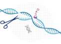 CRISPR Cas9 Technology