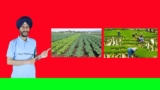 Crop Production and Management Part 2
