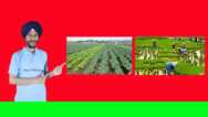 Crop Production and Management Part 2