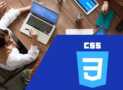 CSS Crash Course For Beginners