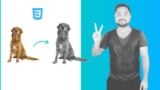 Css Image Filters – Editing Images On The Web (2021)