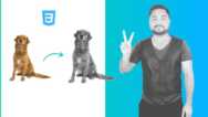 Css Image Filters – Editing Images On The Web (2021)