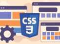 CSS3 Styling & Layouts Practice Test
