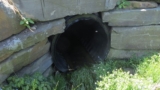 Culvert Design using HY-8