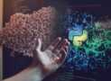 Data-Centric Machine Learning with Python: Hands-On Guide