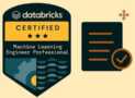 Databricks Machine Learning Professional Practice Tests 2025