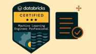 Databricks Machine Learning Professional Practice Tests 2025