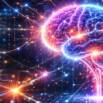 Deep Learning A-Z: Build Neural Networks & TensorFlow