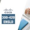 Designing Cisco Enterprise Networks Practice Exams (ENSLD)