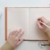 Developing Your Idea