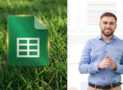 Diploma in Google Sheets: A Crash Course