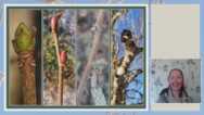 Discover Winter Trees