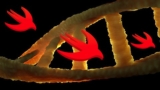 DNA Hacking with Swift 4 | Xcode 9