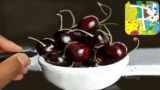 Draw A Bowl Of Cherries With The Paintology Drawing App
