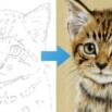 Draw a Kitten using Pastel Pencils