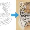 Draw A Tiger Using Just 6 Pastel Pencils