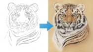 Draw A Tiger Using Just 6 Pastel Pencils