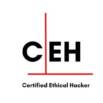 EC-Council Certified Ethical Hacker v13 (CEH) Practice Exams
