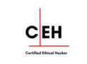 EC-Council Certified Ethical Hacker v13 (CEH) Practice Exams