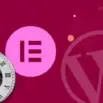 Elementor WordPress Page Speed