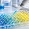 ELISA Mastery in Veterinary Diagnostics