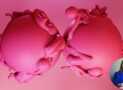 Embracing Paradoxes 1: Navigating Life’s Contradictions