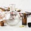 Energy Healing and Emotional Reset with Bach Flower Therapy