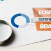 Entry Certificate in Business Analysis (ECBA) | 2026 Tests