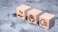 ESG Investing 101: A Comprehensive Guide