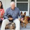 Establishing Pack Structure with the Family Dog