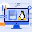 Ethical Hacking: Linux Privilege Escalation