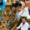 Ethology for Veterinarians, Animal Scientists,Researcher