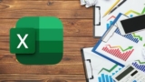 Excel Data Analysis Visualization with Management Technique