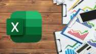 Excel Data Analysis Visualization with Management Technique